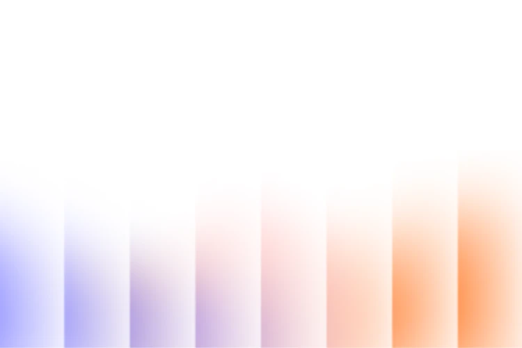 13.webp